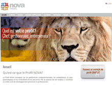 Tablet Screenshot of profilnova.com